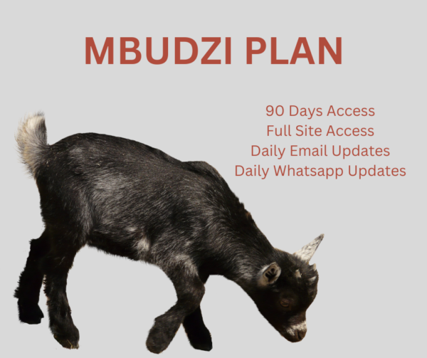 Mbudzi Plan